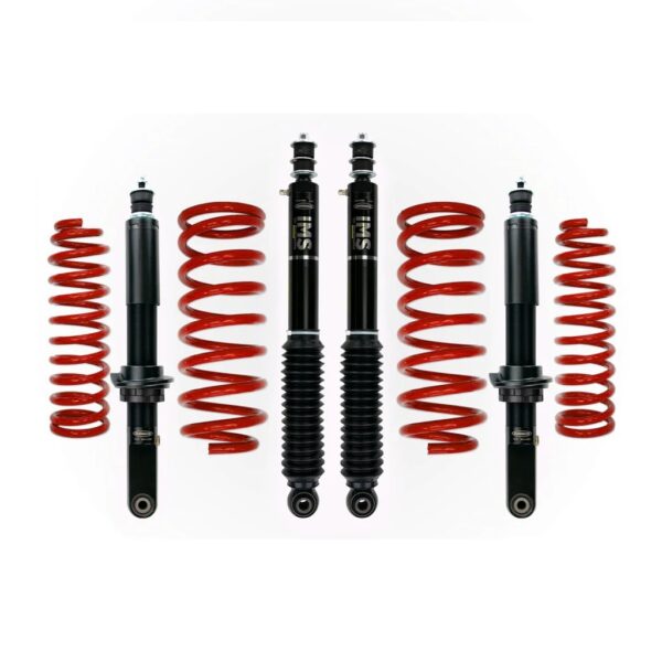 DOBINSONS IMS kit with red coils