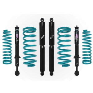 Dobinsons twin tube strut and shock black shocks and teal coils